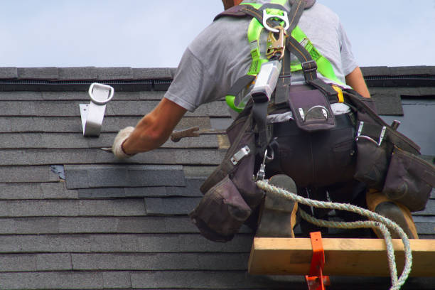 Best Shingle Roofing Installation  in Elmwood, IL