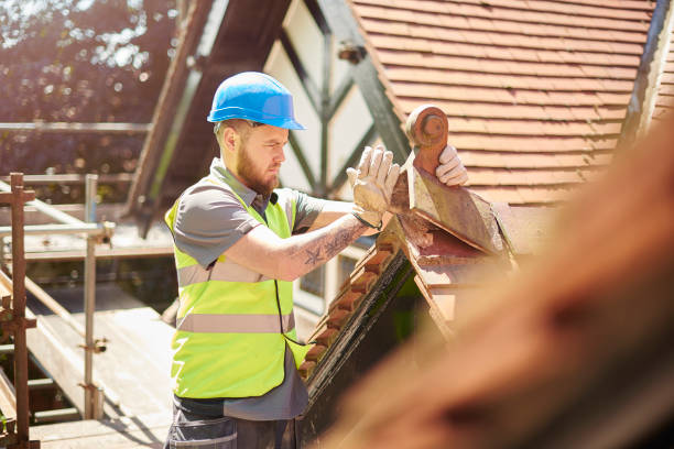 Best Commercial Roofing Services  in Elmwood, IL